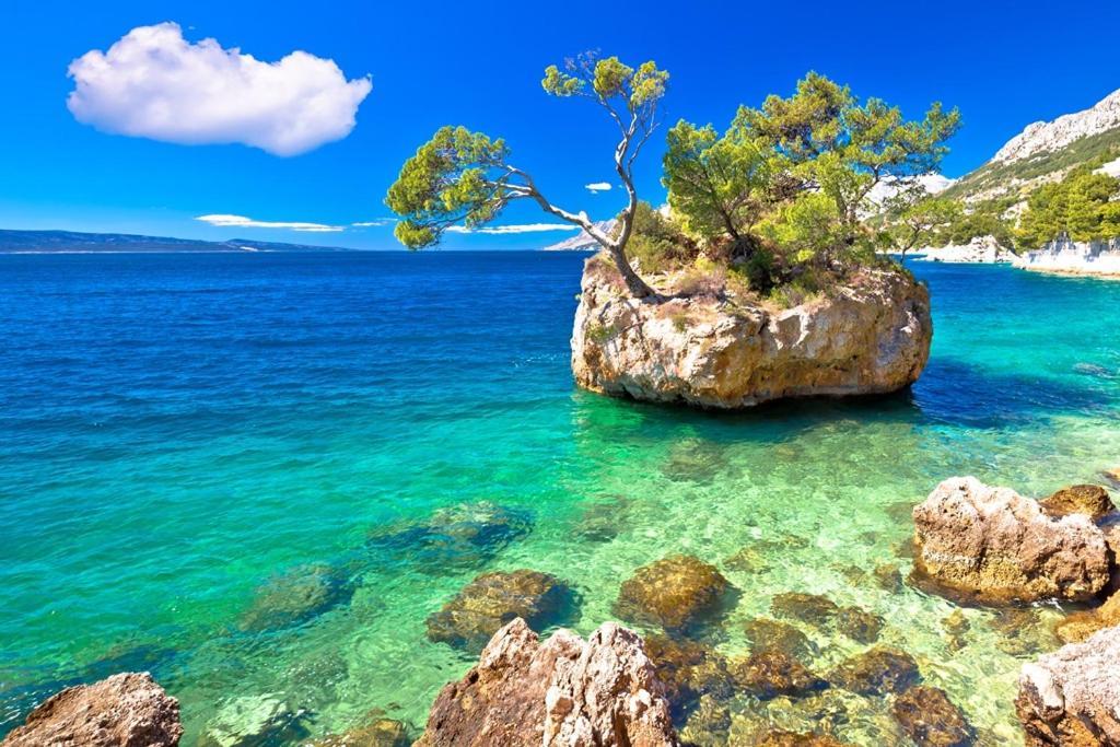 Holiday Home Perunika Zezevica Dış mekan fotoğraf